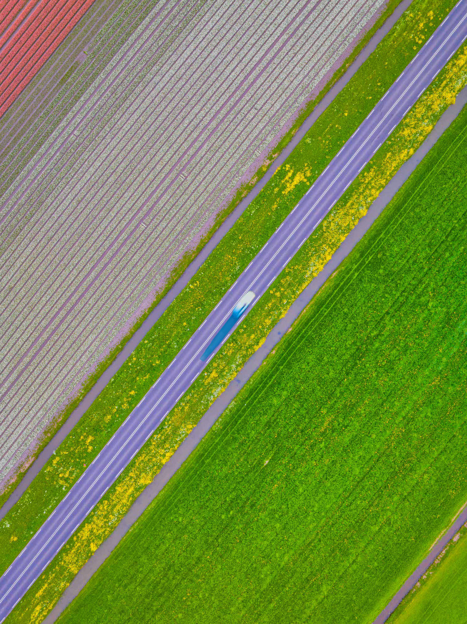 DJI_0838-Edit-1