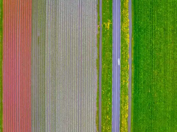 DJI_0869-Edit